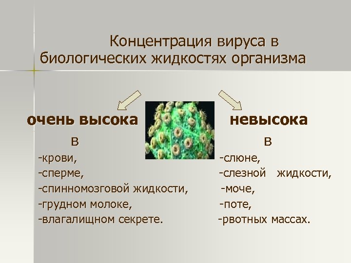Концентрация вируса в биологических жидкостях организма очень высока в -крови, -сперме, -спинномозговой жидкости, -грудном