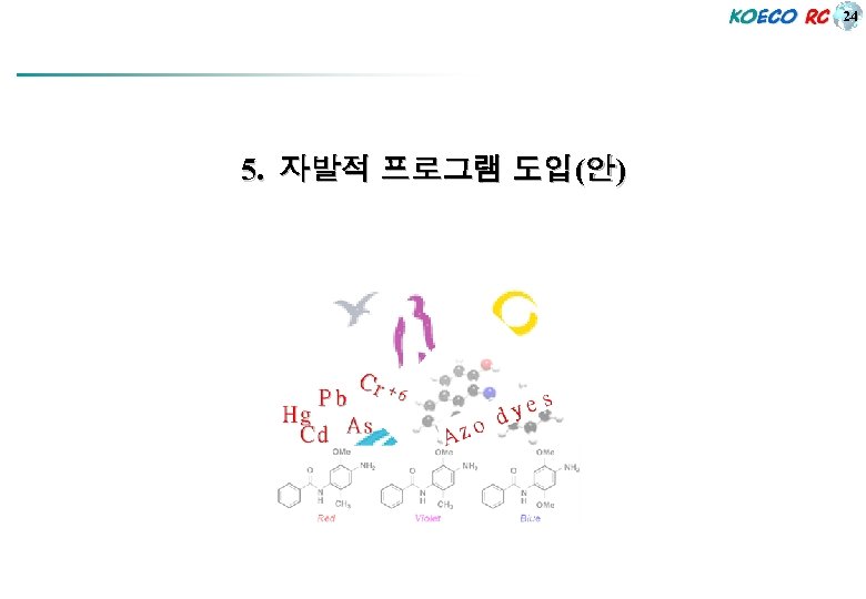 24 5. 자발적 프로그램 도입(안) 