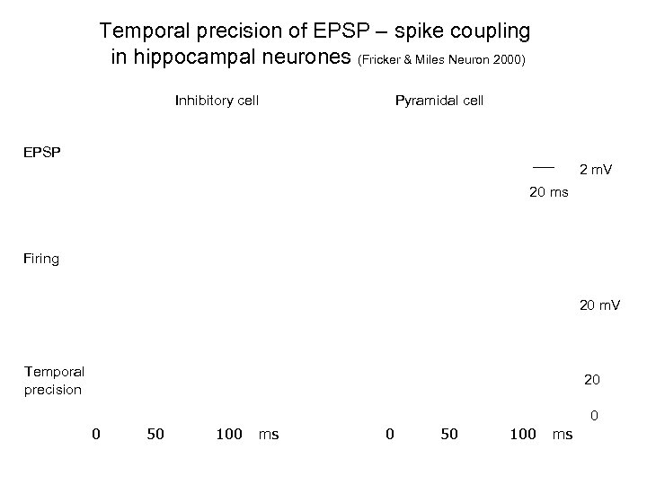 Temporal precision of EPSP – spike coupling in hippocampal neurones (Fricker & Miles Neuron