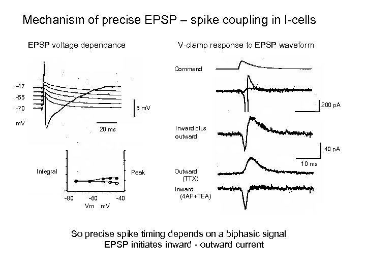 Mechanism of precise EPSP – spike coupling in I-cells V-clamp response to EPSP waveform