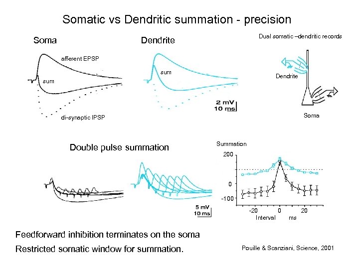 Somatic vs Dendritic summation - precision Soma Dual somatic –dendritic records Dendrite afferent EPSP