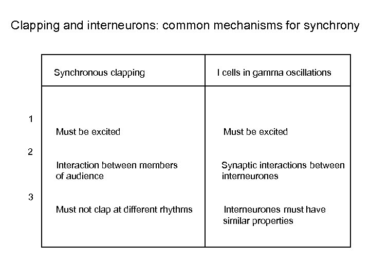 Clapping and interneurons: common mechanisms for synchrony Synchronous clapping I cells in gamma oscillations