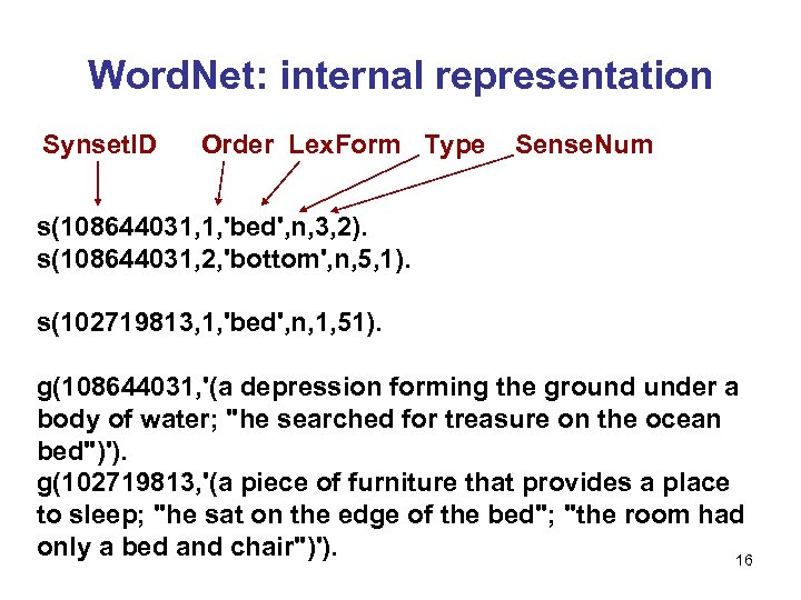 Word. Net: internal representation Synset. ID Order Lex. Form Type Sense. Num s(108644031, 1,