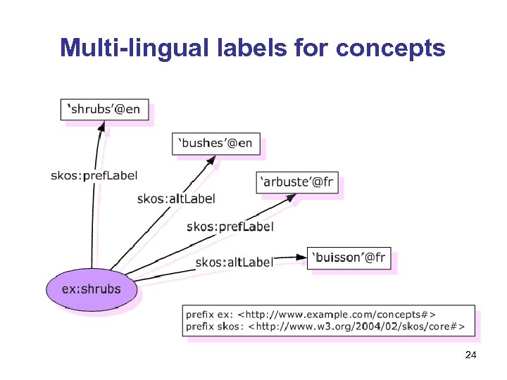 Multi-lingual labels for concepts 24 