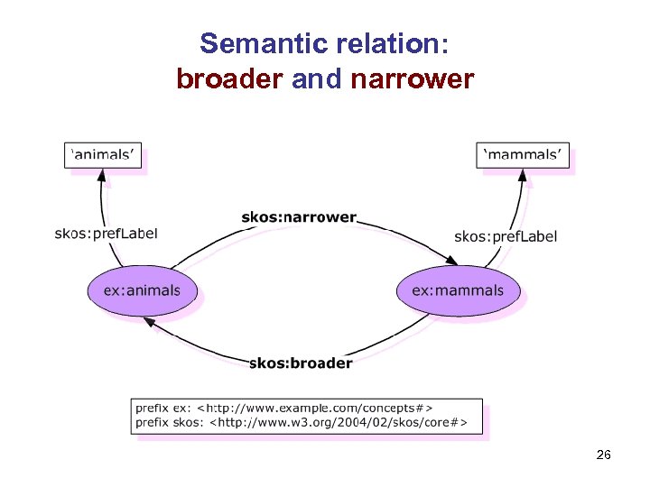 Semantic relation: broader and narrower 26 