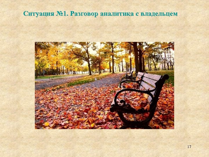 Ситуация № 1. Разговор аналитика с владельцем 17 