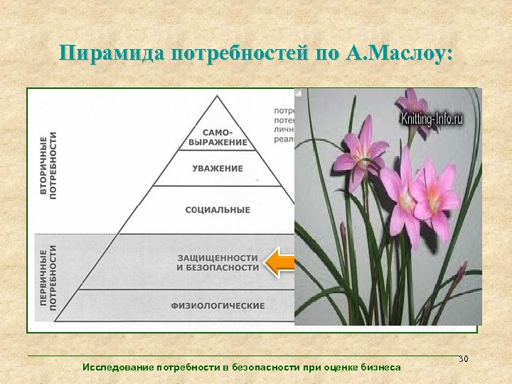 Пирамида потребностей по А. Маслоу: Исследование потребности в безопасности при оценке бизнеса 30 