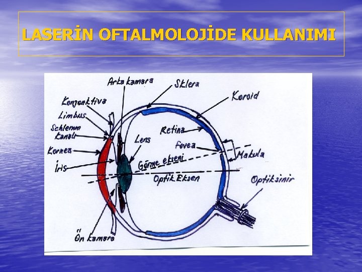 LASERİN OFTALMOLOJİDE KULLANIMI 