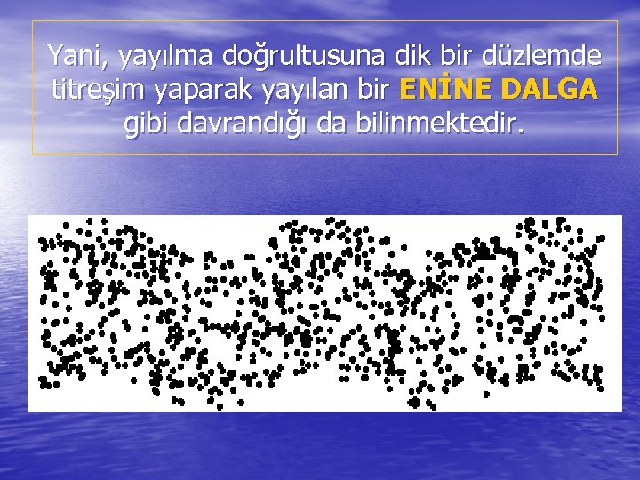 Yani, yayılma doğrultusuna dik bir düzlemde titreşim yaparak yayılan bir ENİNE DALGA gibi davrandığı