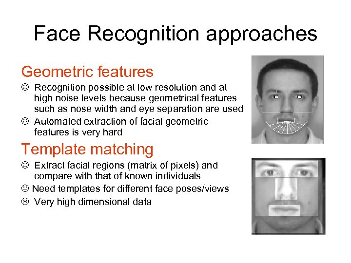 Face Recognition approaches Geometric features Recognition possible at low resolution and at high noise