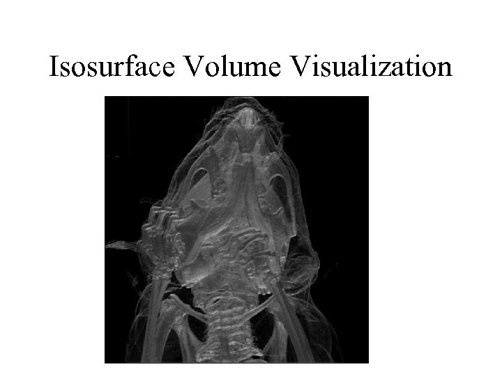 Isosurface Volume Visualization 