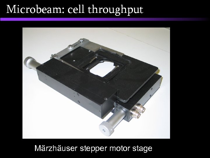 Microbeam: cell throughput Märzhäuser stepper motor stage 