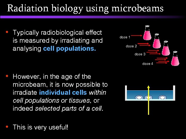 Radiation biology using microbeams • Typically radiobiological effect is measured by irradiating and analysing