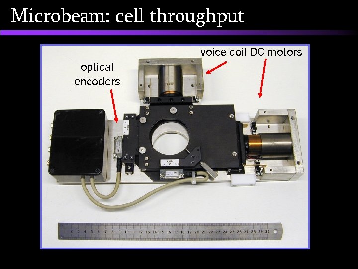 Microbeam: cell throughput voice coil DC motors optical encoders 