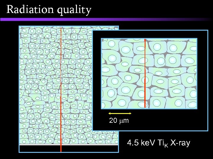 Radiation quality 20 m 4. 5 ke. V Ti. K X-ray 
