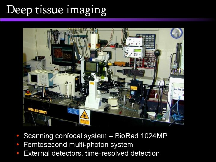 Deep tissue imaging • Scanning confocal system – Bio. Rad 1024 MP • Femtosecond