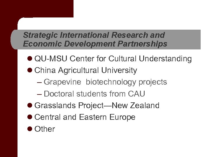 Strategic International Research and Economic Development Partnerships l QU-MSU Center for Cultural Understanding l