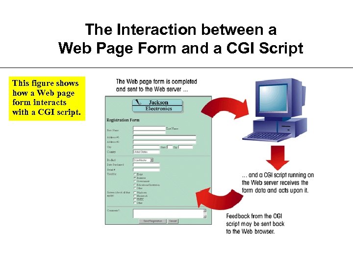 The Interaction between a Web Page Form and a CGI Script This figure shows