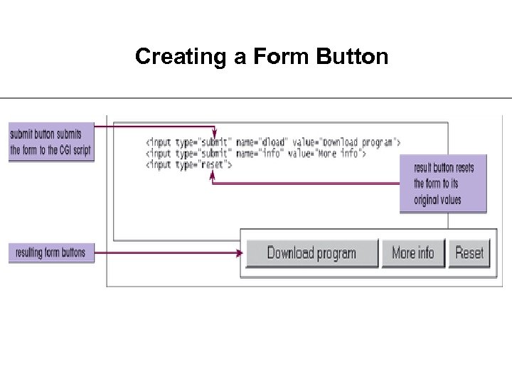 Creating a Form Button 