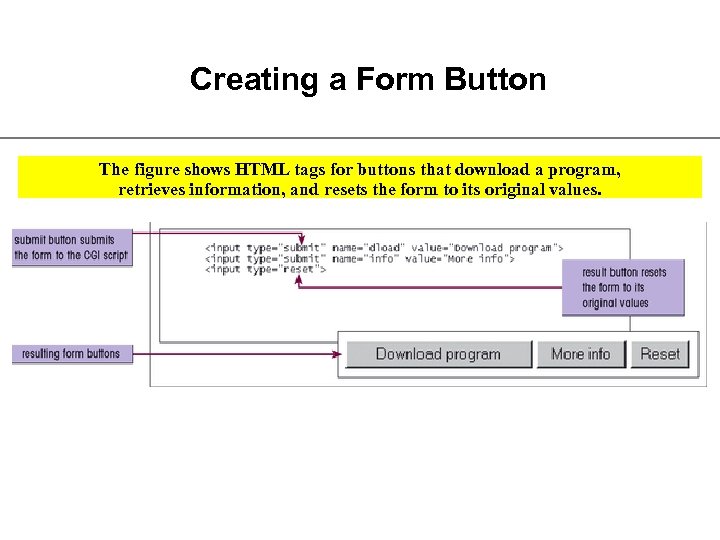 Creating a Form Button The figure shows HTML tags for buttons that download a