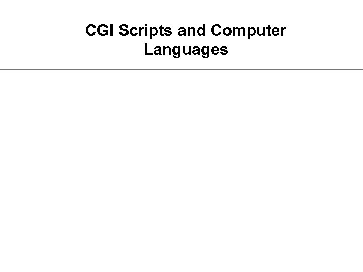 CGI Scripts and Computer Languages 