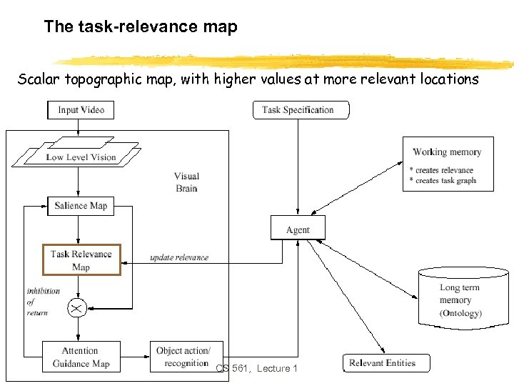 The task-relevance map Scalar topographic map, with higher values at more relevant locations CS