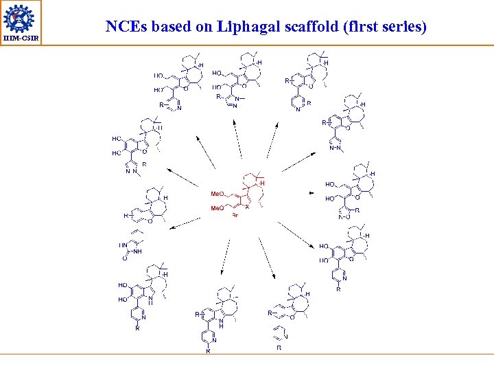 IIIM-CSIR NCEs based on Liphagal scaffold (first series) 