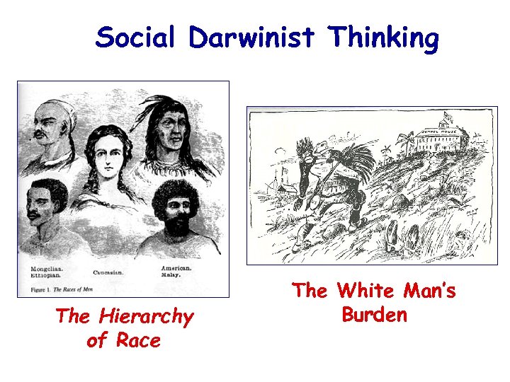 Social Darwinist Thinking The Hierarchy of Race The White Man’s Burden 