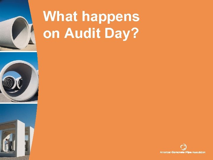 What happens on Audit Day? 