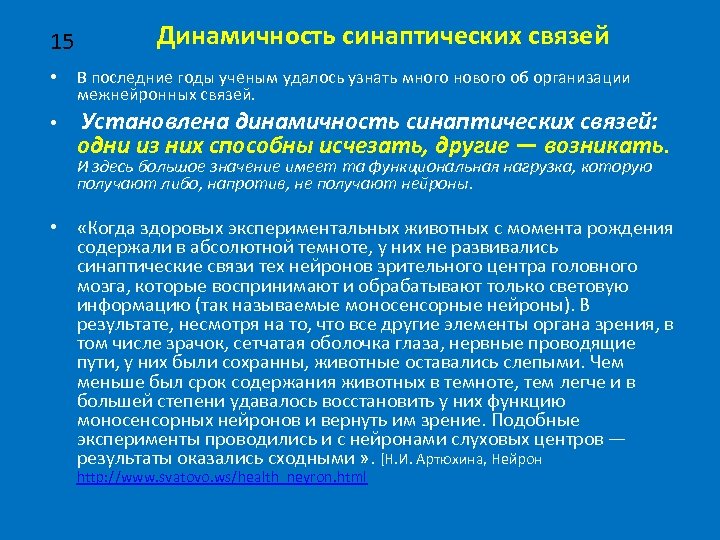 15 • • Динамичность синаптических связей В последние годы ученым удалось узнать много нового
