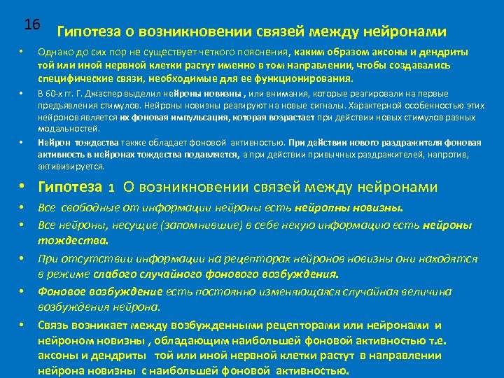 16 Гипотеза о возникновении связей между нейронами • Однако до сих пор не существует