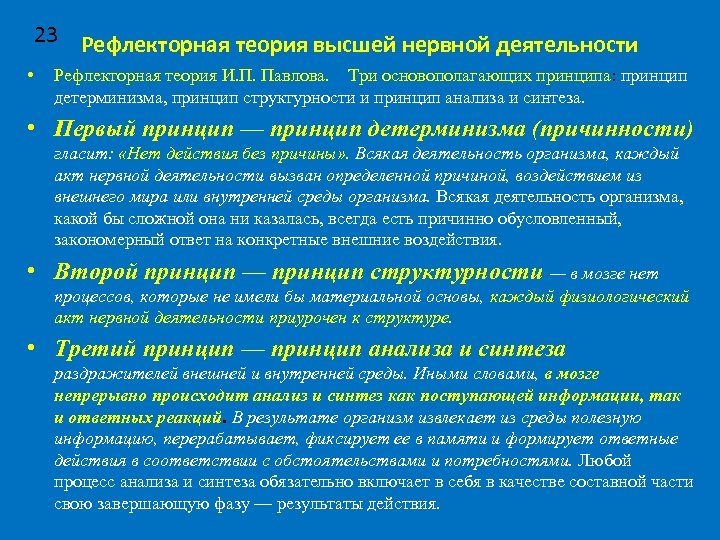 23 Рефлекторная теория высшей нервной деятельности • Рефлекторная теория И. П. Павлова. Три основополагающих