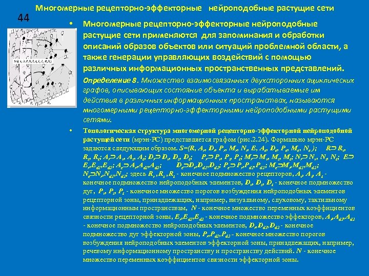 44 Многомерные рецепторно-эффекторные нейроподобные растущие сети • Многомерные рецепторно-эффекторные нейроподобные растущие сети применяются для