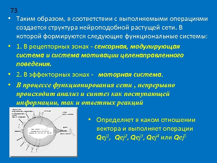73 • Таким образом, в соответствии с выполняемыми операциями создается структура нейроподобной растущей сети.