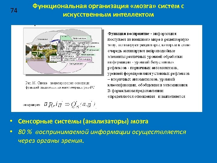 74 Функциональная организация «мозга» систем с искусственным интеллектом • Сенсорные системы (анализаторы) мозга •