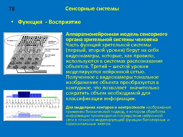 78 Сенсорные системы • Функция - Восприятие Аппаратнонейронная модель сенсорного органа зрительной системы человека