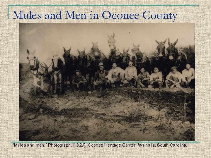 Mules and Men in Oconee County “Mules and men. ” Photograph. [1920]. Oconee Heritage