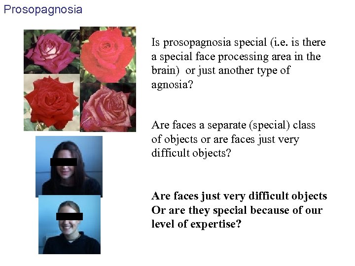 Prosopagnosia Is prosopagnosia special (i. e. is there a special face processing area in