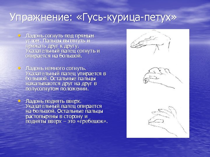 Кинезиологические упражнения с описанием и картинками для пожилых женщин