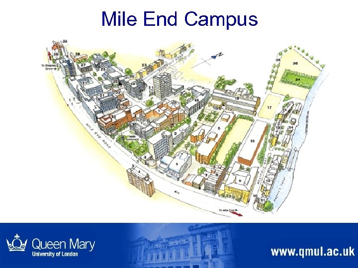 Mile End Campus 