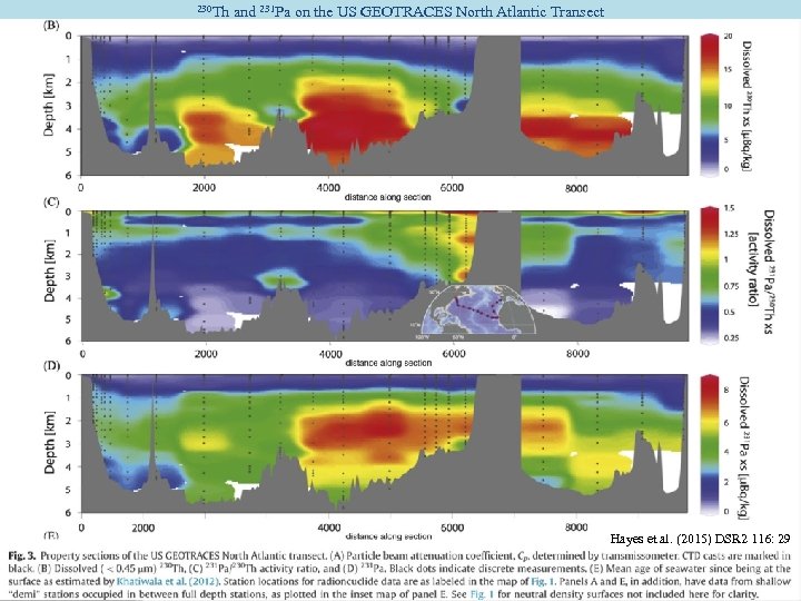 230 Th and 231 Pa on the US GEOTRACES North Atlantic Transect Hayes et