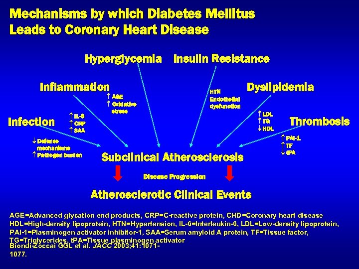 Mechanisms by which Diabetes Mellitus Leads to Coronary Heart Disease Hyperglycemia Insulin Resistance Inflammation