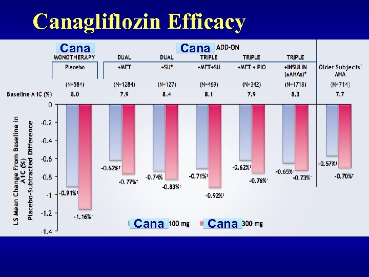 Canagliflozin Efficacy Cana 