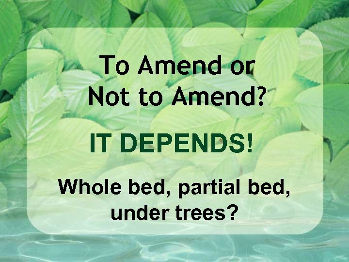 To Amend or Not to Amend? IT DEPENDS! Whole bed, partial bed, under trees?