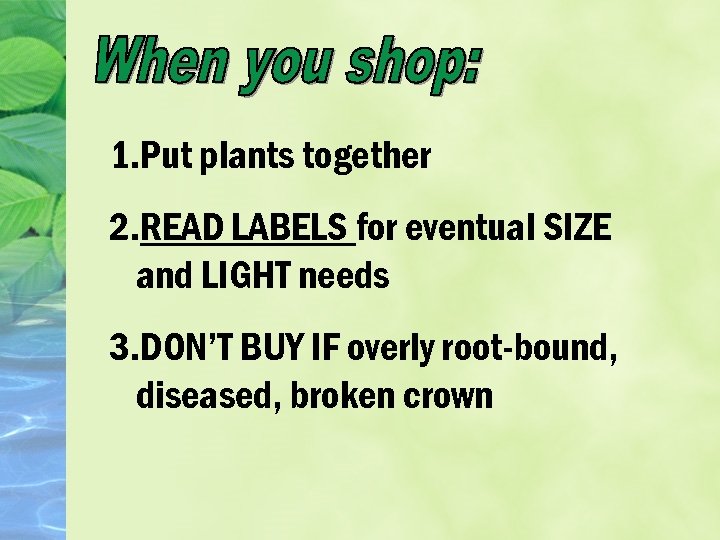 1. Put plants together 2. READ LABELS for eventual SIZE and LIGHT needs 3.