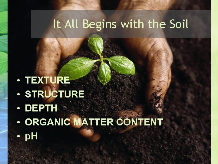 It All Begins with the Soil • • • TEXTURE STRUCTURE DEPTH ORGANIC MATTER