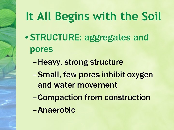 It All Begins with the Soil • STRUCTURE: aggregates and pores – Heavy, strong