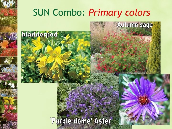 SUN Combo: Primary colors 