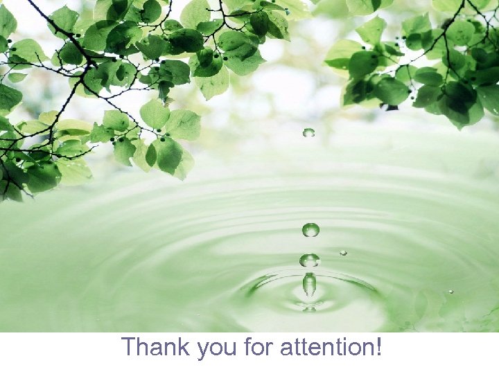 Thank you for attention! 