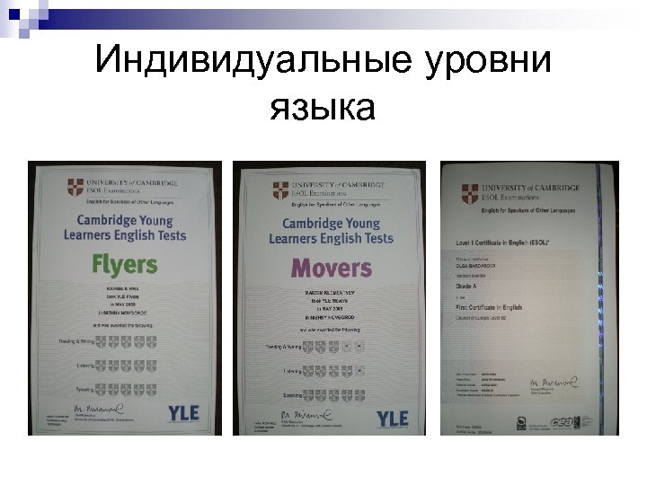 Индивидуальные уровни языка 